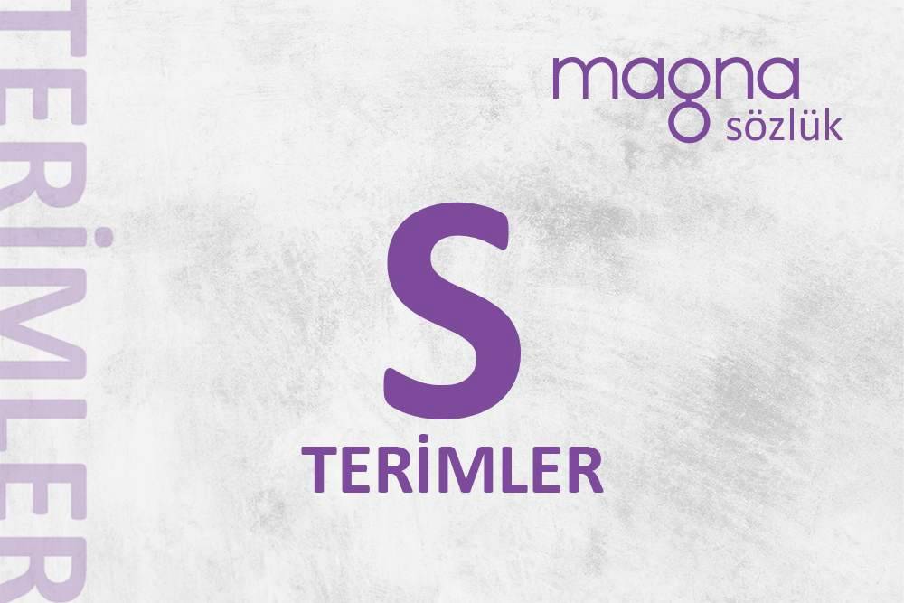 Dijital Pazarlama Terimleri – “S” Harfi İle Başlayan Terimler