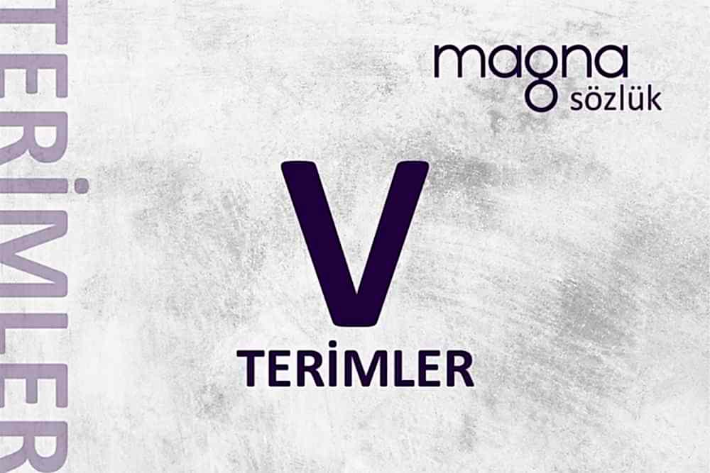 Dijital Pazarlama Terimleri – “V” Harfi İle Başlayan Terimler