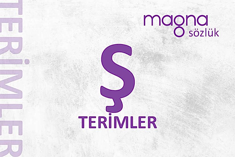 Dijital Pazarlama Terimleri – “Ş” Harfi İle Başlayan Terimler